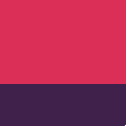 rosette/ purple