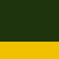 forest green/ gold