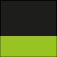 black/ lime green