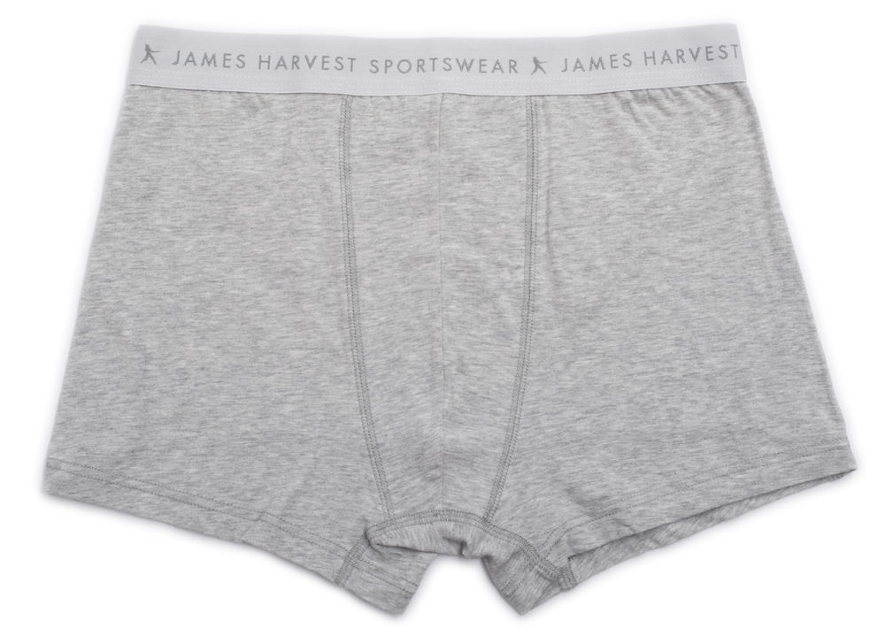 Northeasterns 3-Pack James Harvest 2136012