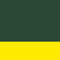 paramedic green/ yellow
