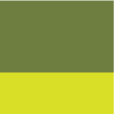 junglegreen-acidyellow