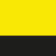 yellow/ black